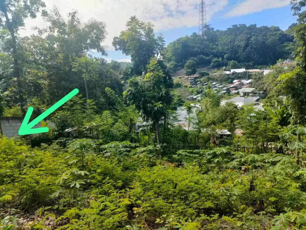 DIJUAL cepat tanah 508 m2 di laboan bajo