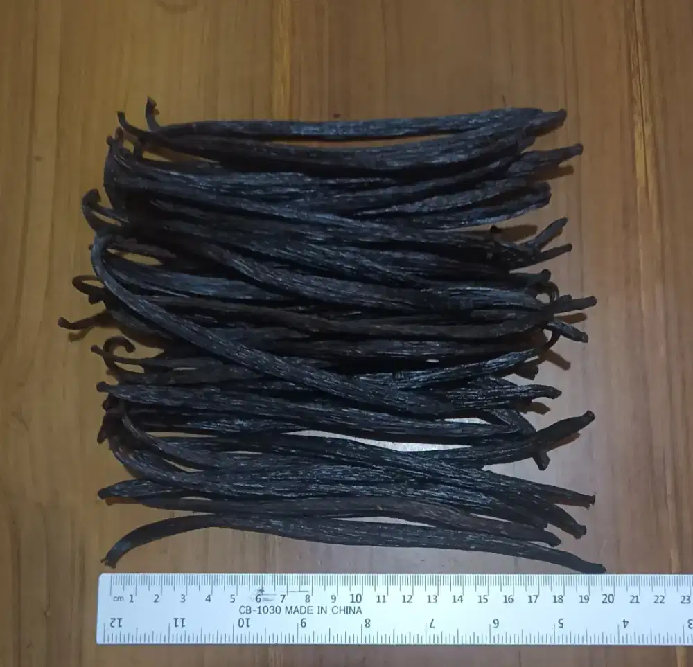 Vanili planifolia organik