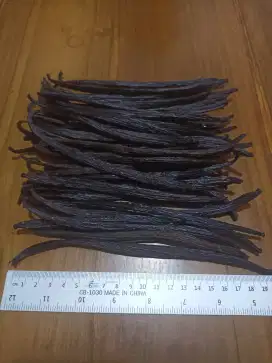 Vanili Vanilla Planifolia Organik Grade Super 17 cm up