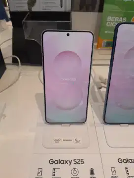 SAMSUNG GALAXY S25