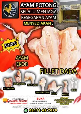 Distributor ayam potong