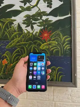 iPhone 11 Pro 256GB Mn Green
