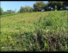 Tanah Subur akses mobil 4500 m