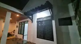 Rumah Siap Huni Ikan Ikan Tinggal Nempatin Lingkungan Nyaman