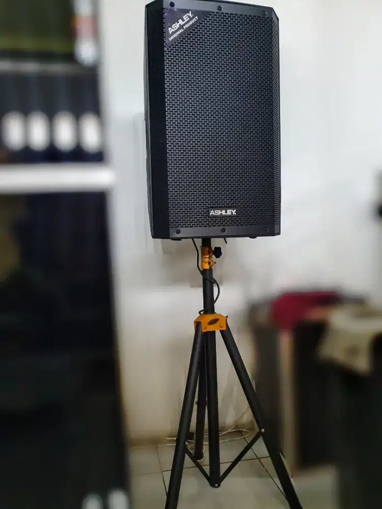 Jual speaker Ashley Act 600 pro 15 inch
