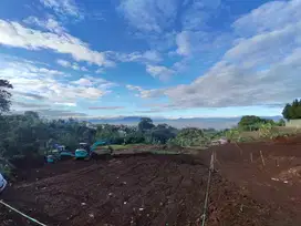 Tanah Murah Areal Cimahi Jl. Kolonel Masturi: Sertifikat SHM