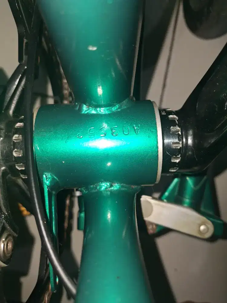 Sepead lipat dahon dabike