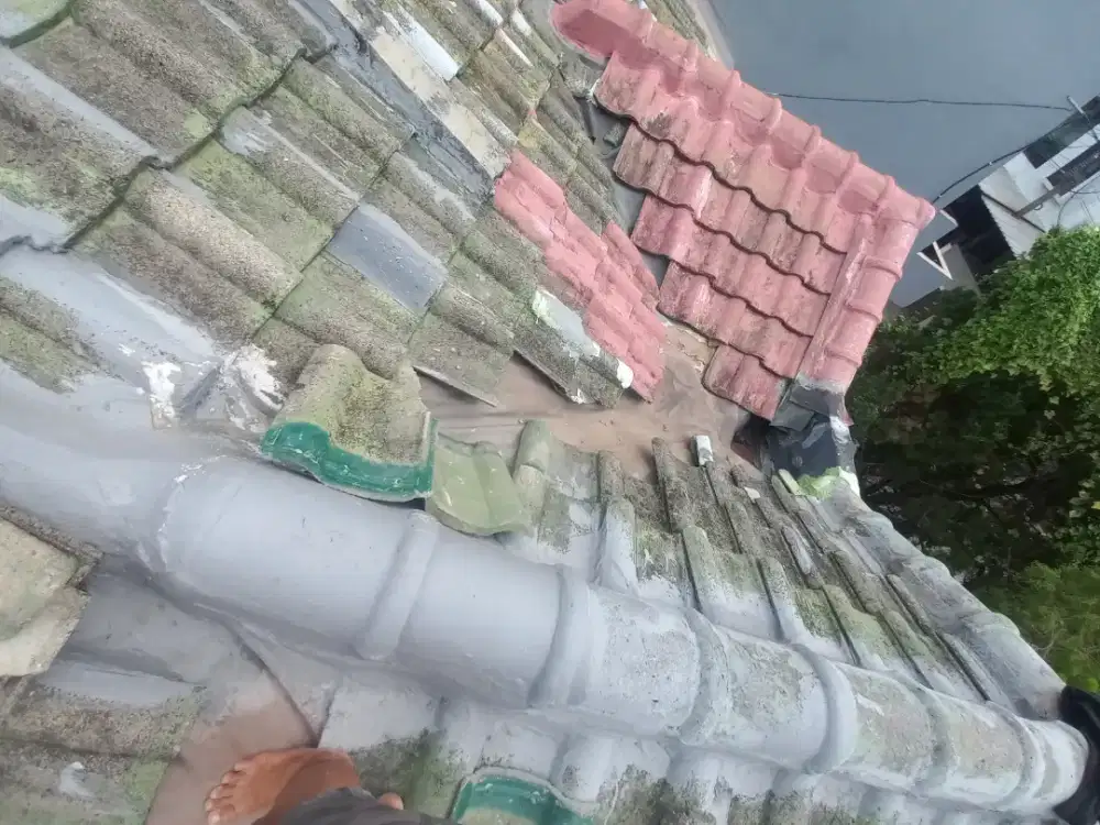 Tukang atap bocor, perbaikan talang ,tukang cat, renovasi dll