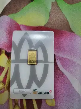 LM Antm 2gr 2025