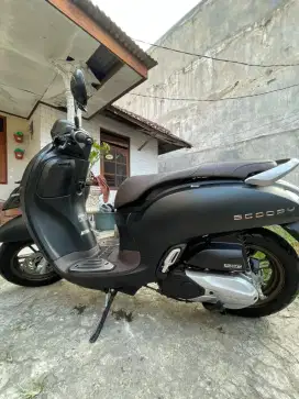 Honda Scoopy 2024
