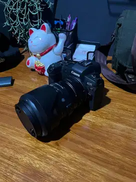 Canon EOS R + Sigma 35mm f/1.4 DG HSM (EF Mount) + Metabones Adapter