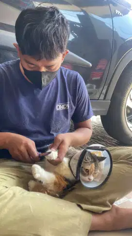 Gromin Panggilan Murah