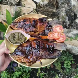 Paket Ikan Gurame Bakar Special