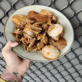 Kerang Mix Saos Singapore