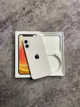 Iphone 12 Mini 256 Gb resmi digimap