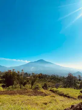 TANAH KAVLING SELANGKAH DARI KAMPUS UIN 3 KEDOKTERAN