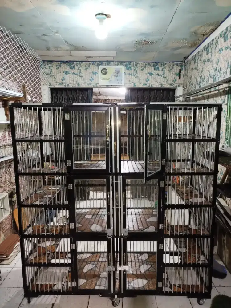 Kandang kucing 6 kamar seken