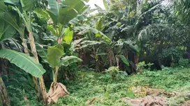 Tanah kavling 530 meter SHM masuk mobil di sawangan baru depok