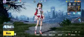 AKUN PUBG PRIBADI