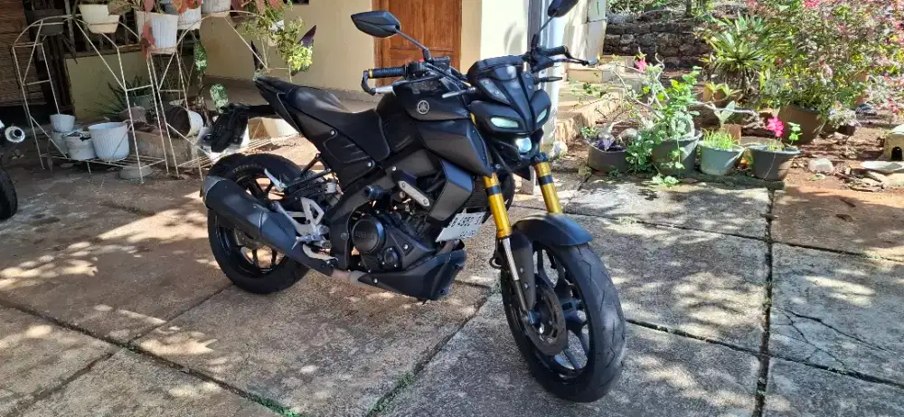FS Yamaha MT15 2019