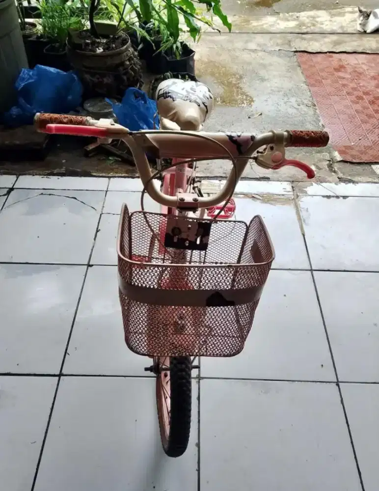 Sepeda anak cewe