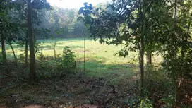 Bangunjiwo, Tanah Kasihan Bantul, Dekat SPBU Ambarketawang