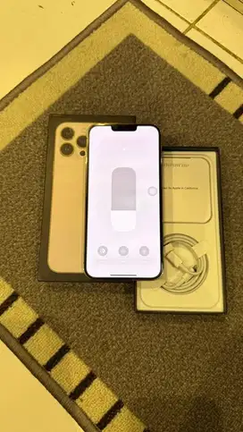 Dijual Iphone 13 Promax 256GB Gold Mulus Lengkap Terdaftar