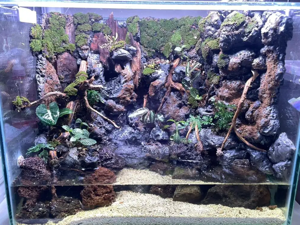 Paludarium + Waterfall (Air Terjun)