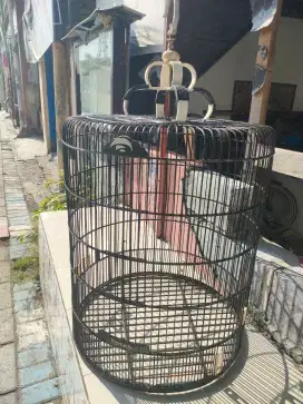 Jual sangkar burung murai