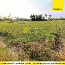 Dijual Tanah di Tanjung Bintang, Lampung Selatan (Kode: Ber 3359)