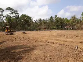Moyudan, Tanah Sleman Jogja, dekat Jalan Wates