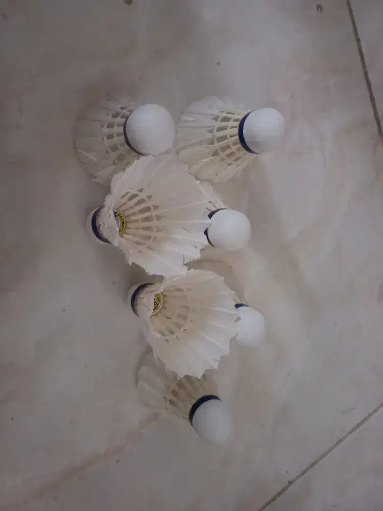 Suttle kock badminton