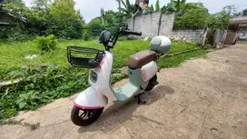 Sepeda listrik/ selis gemini murah (NEGO)