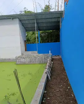 Kolam ikan dibelakang Toserba Griya Cinunuk Bandung Timur