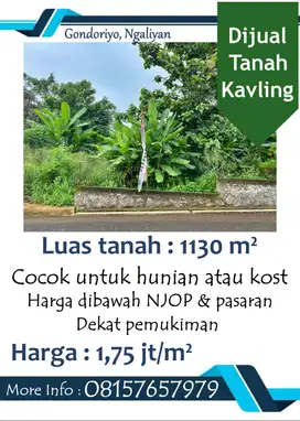 Tanah Kavling Ngaliyan Murah 1130 m² Dijual Cepat BU
