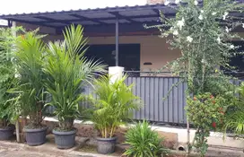Rumah cipondoh luas