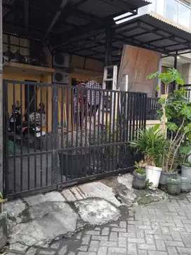 P Fl Dijual Cepat Termurah Rumah 6x15 Cluster Arcadia Daan Mogot