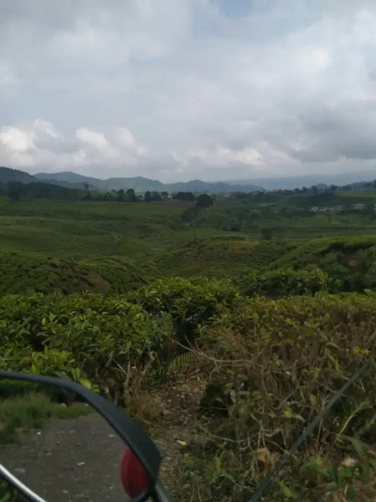 Cari kerja modal sim a