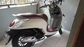 Scoopy Pristige 2022