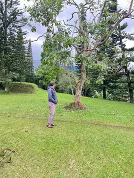 Lokasi siap bangun dengan view golden udara sejuk