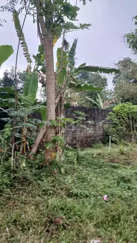 Jual Cepat Tanah SHM P di Pakem Sleman dekat Fasum