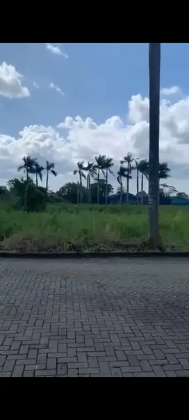 Dijual Lahan Strategis Buat Pabrik Gudang Bitung Cikupa Tangerang