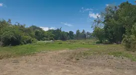 Tanah Sleman, Harga Murah, Akses Aspal Kawasan Homestay