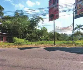 DILELANG Tanah Murah Siap Bangun Strategis SHM Lembang Bandung