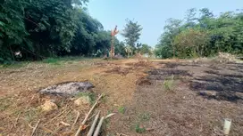 Beli Tanah Sekarang, Harga Mulai 1,5 Juta per Meter!