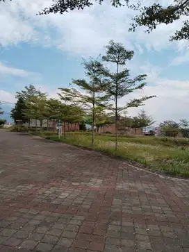 Tanah Kavling, 1 Menit Kampus 3 UIN Malang Potensi Kos-Kostan