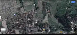 Dijual Tanah Sawah Tanpa Perantara