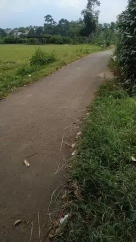 Dijual Murah Tanah Kavling Lokasi Strategis Dekat Tol Bocimi Free SHM