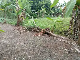 Tanah kosong boleh nyempil Dekat RSUD Goeteng Wirasana Purbalingga