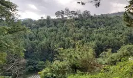 Tanah (Hidden gem) Cocok untuk Villa Atau Mini Glamping Lembang